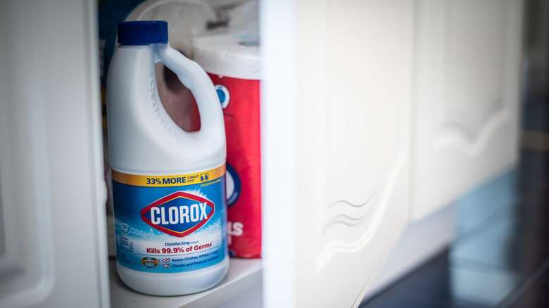 bottle of Clorox bleach