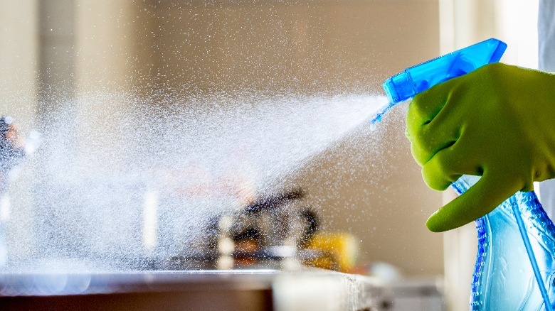 Gloved hand spraying cleaner
