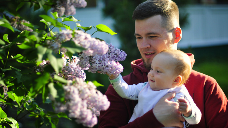 A light-skinned man and a baby inspect a lilac bush in bloom