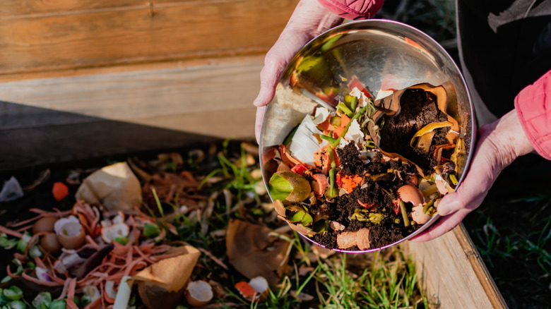 A composter wit coffee grounds, eggshells and kitchen leftovers