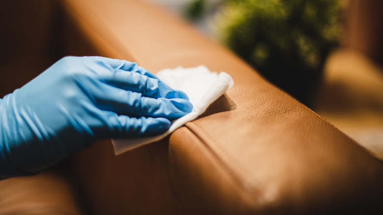 Blue gloved hands wiping leather couch with wipe