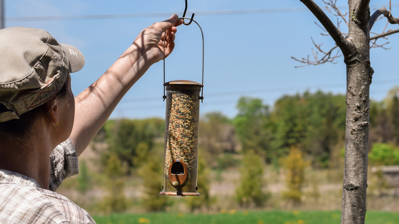 Person hanging bird feeder