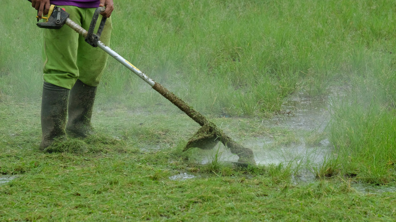 A man wearing black boots and green pants using a trimming tool to cut wet grass.