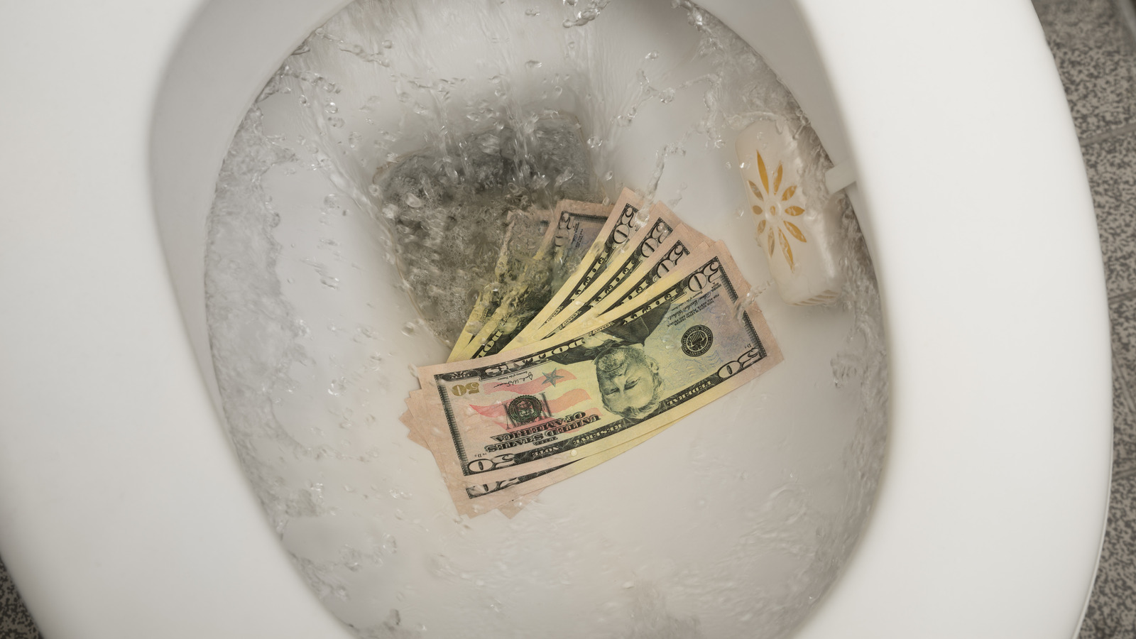 Can You Save Money On The Water Bill By Only Flushing The Toilet After