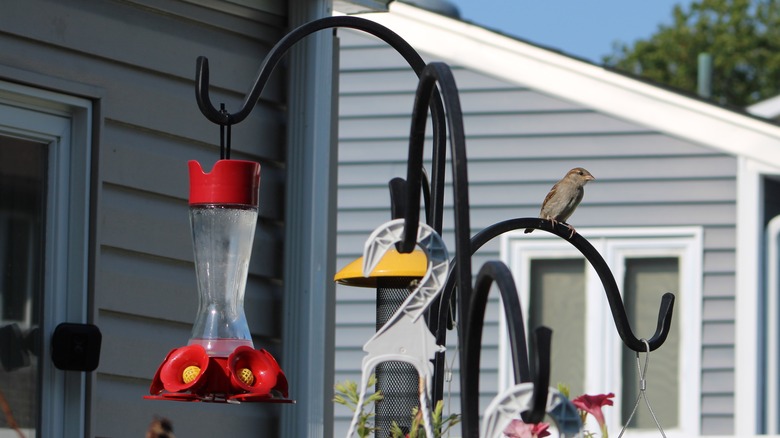 Hummingbird feeder hanging on a pole in front of a home, a small bird on the pole