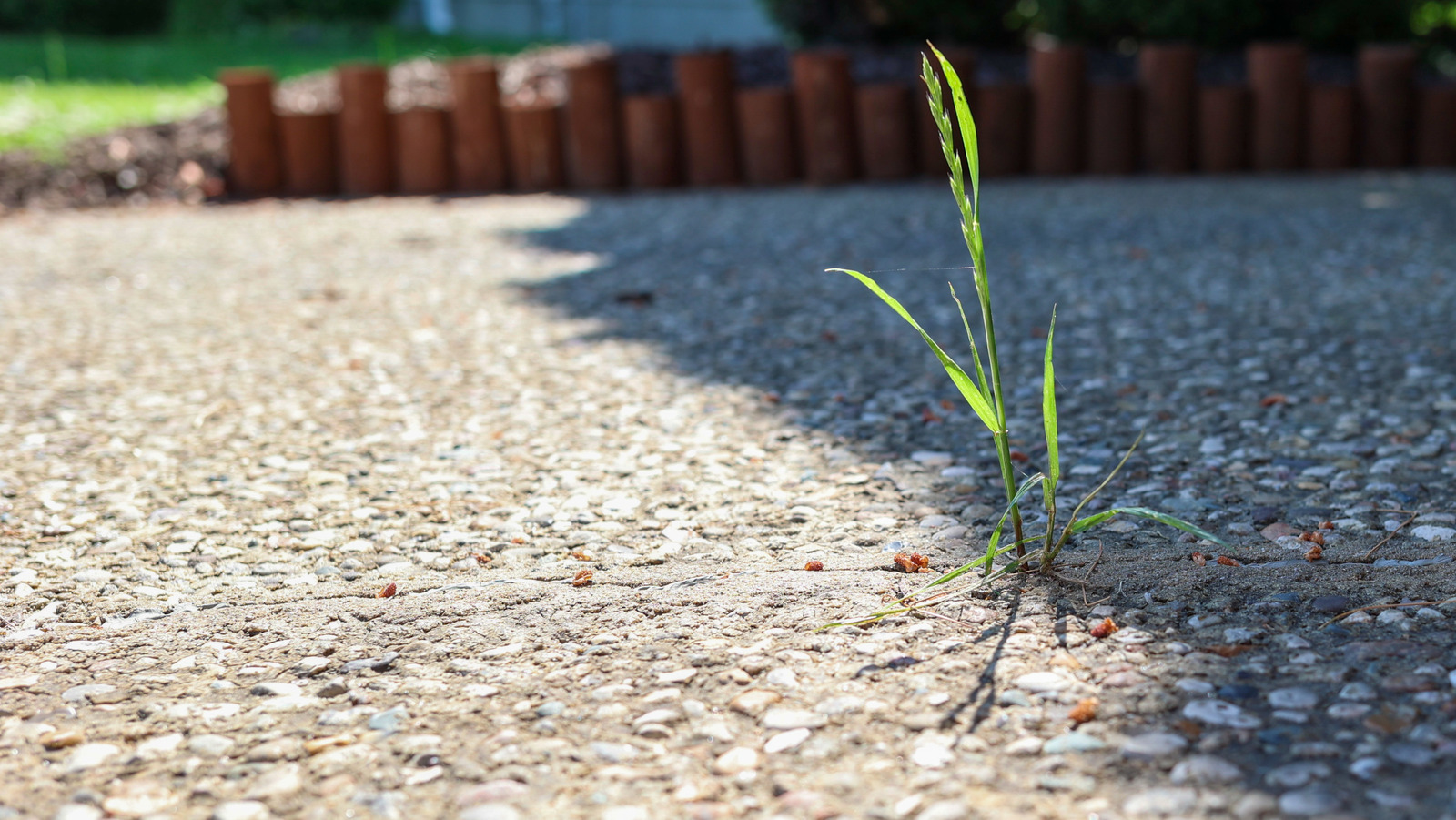 Can You Use A Pressure Washer To Get Rid Of Weeds?