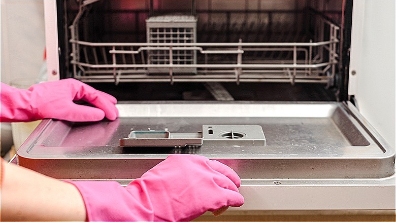 Gloved hands and open dishwasher
