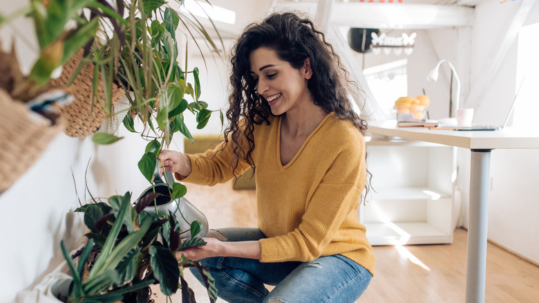 Woman watering plants