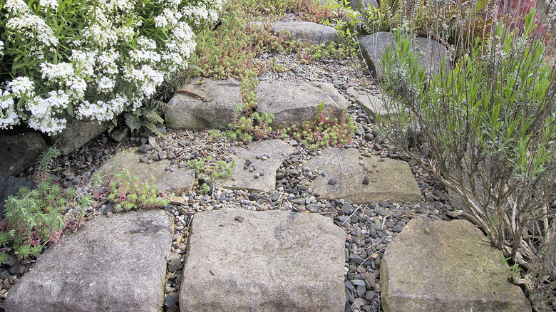 pea gravel in garden path