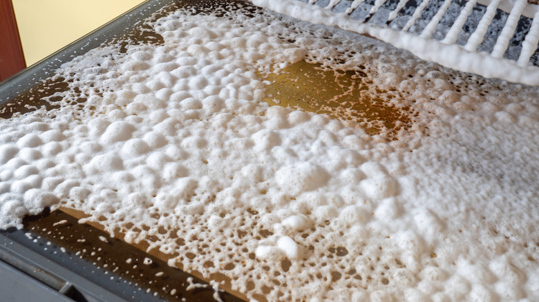 Foaming oven cleaner 