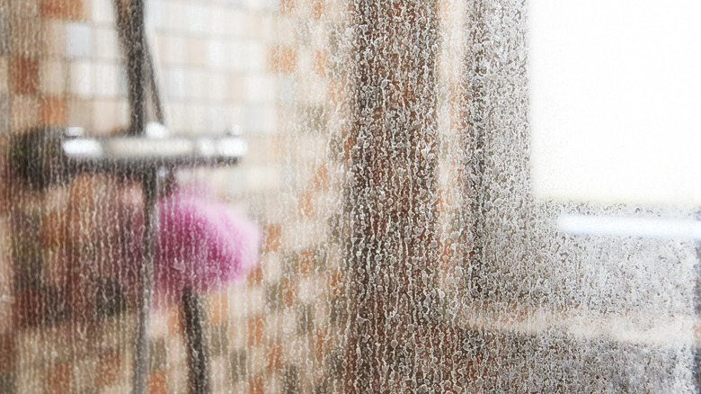 Dirty shower door
