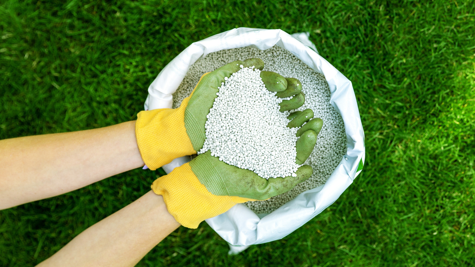 Can You Use The Same Type Of Fertilizer On Your Lawn For Spring And Fall? Our Garden Expert