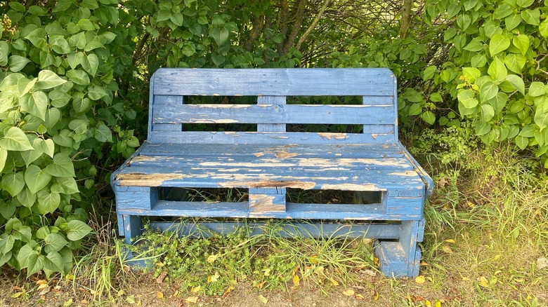 Blue bench with peeling paint