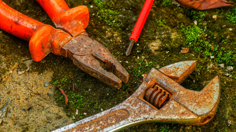 Rusty tools on mossy ground