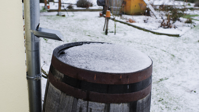 Rainwater collection barrel filled with ice and snow