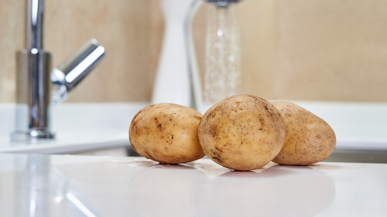 potato at the edge of a white sink