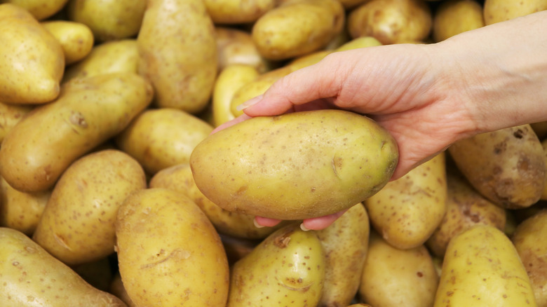 hand holding a potato with others in the background