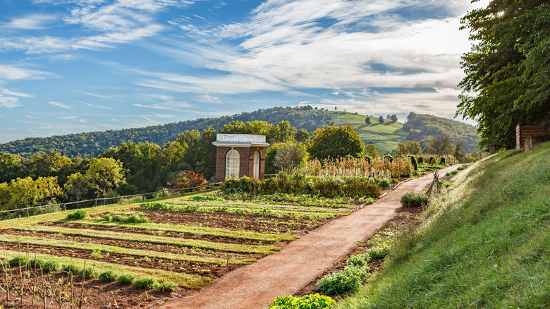 The view of the vegetable garden at Jefferson's historic home, Monticello