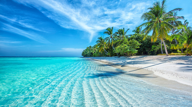 island with sand and water