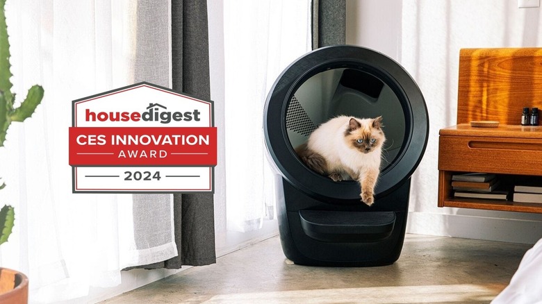 black litter robot with award