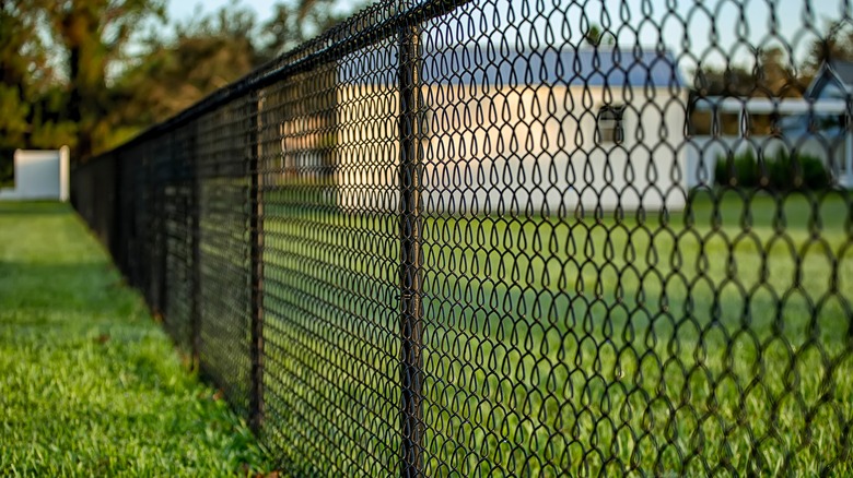 A black chain link fence in a backyard