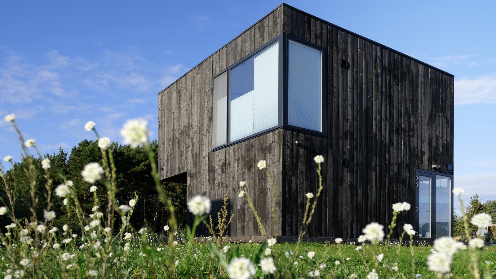 Affordable Alternatives to Shou Sugi Ban Siding Made Easy