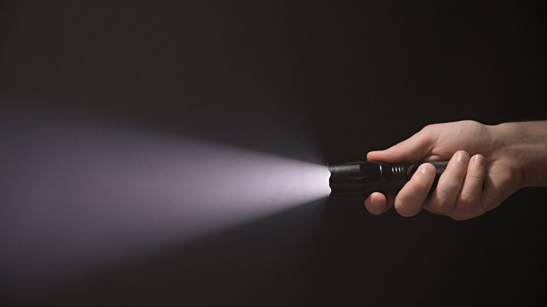 Hand holding flashlight