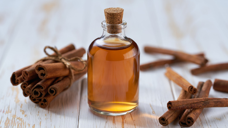 bottle of cinnamon oil with cinnamon bundles