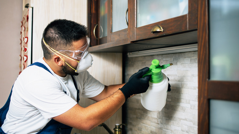 man spraying pesticide