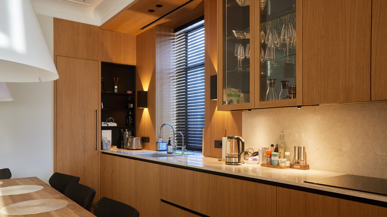 Modern kitchen with wood and glass-front cabinets
