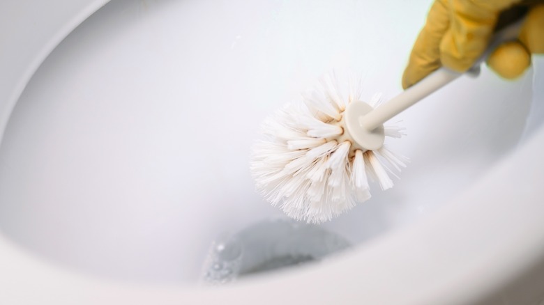 Toilet brush in toilet