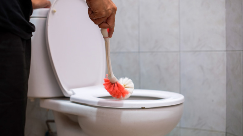 A person cleans a toilet using a toilet brush.