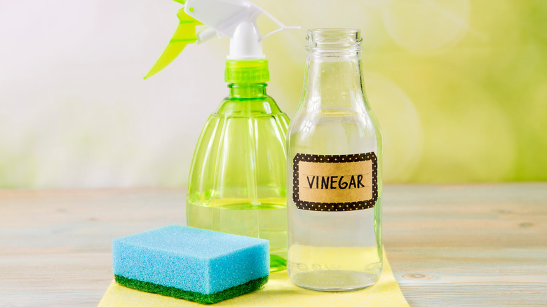 bottle of vinegar cleaning solution