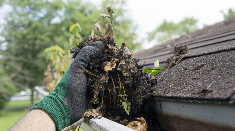 Person cleaning debris out of home gutter