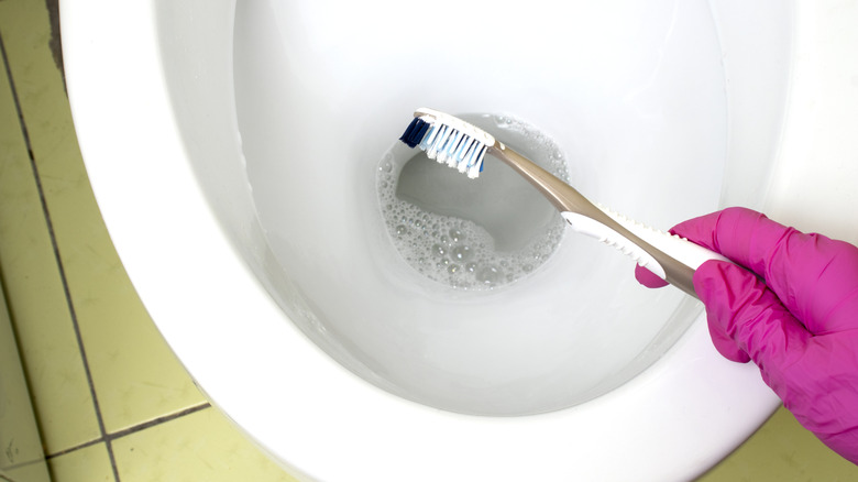cleaning toilet with toothbrush