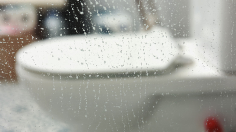 Hard water stains on a glass shower door with a view of the toilet.