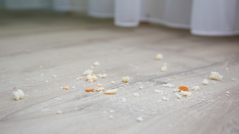 Crumbs on a laminate floor