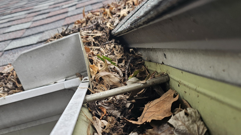 Dirty gutters full of leaves and other debris