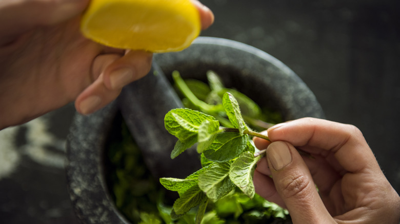 Close-up of a person grinding mint leaves and holding a lemon