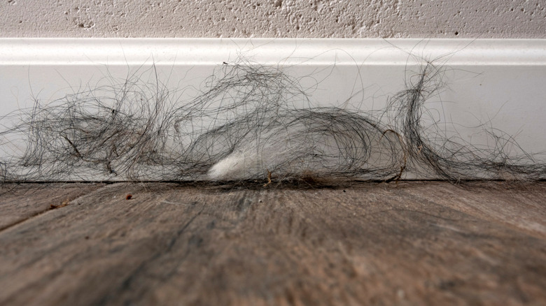 A dusty and dirty floor