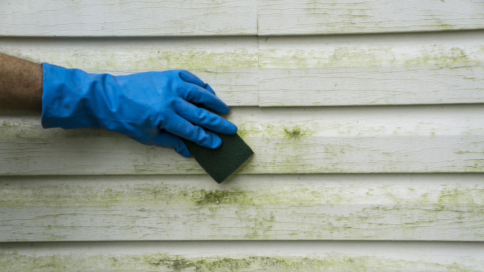 Siding Layout Guide The $0 Solution For Cleaning Mold And Algae From Vinyl Siding