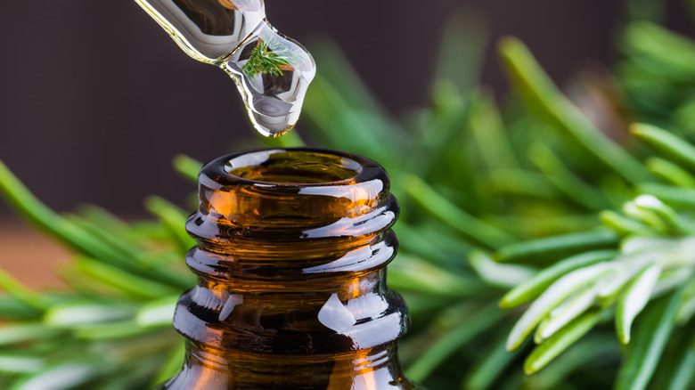 essential oil bottle 