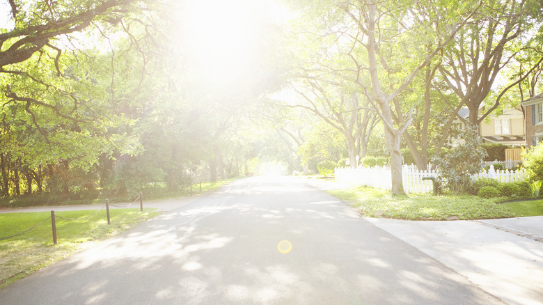 bright sunlight on street 