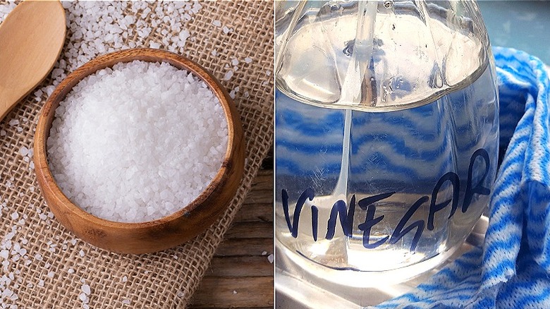 rock salt and vinegar bottle