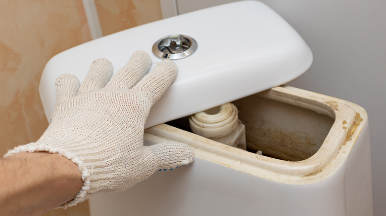 opening toilet tank lid