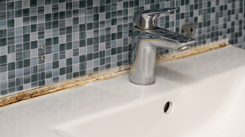 Bathroom mold around sink