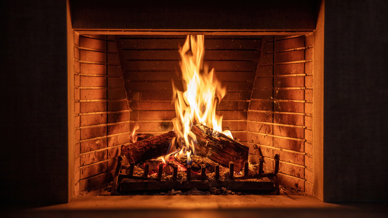 Wood-burning fireplace with fire inside and brick backing