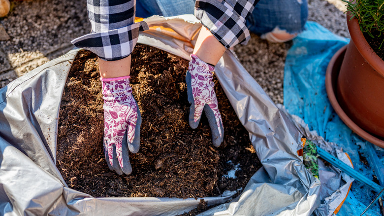 Close up of woman's hands with gardening gloves taking a soil from the plastic bag.