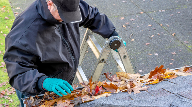 Person on ladder clearing leaves from gutter
