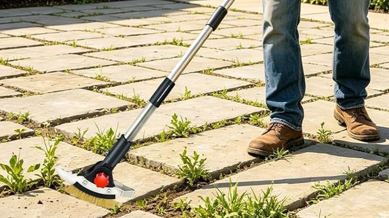 A gardener uses the crack weeder tool to weed in between paver stones